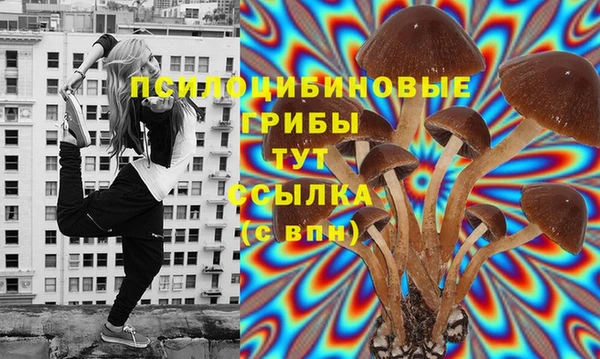 mdpv Ельня