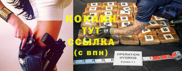 mdpv Ельня