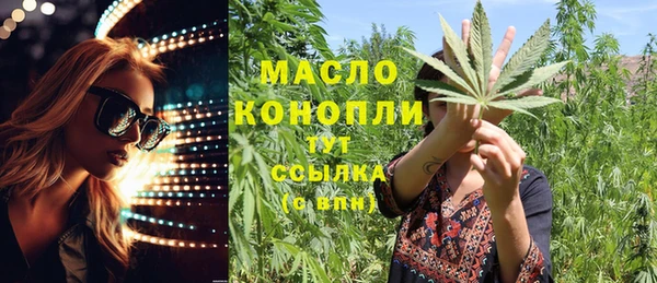mdpv Ельня