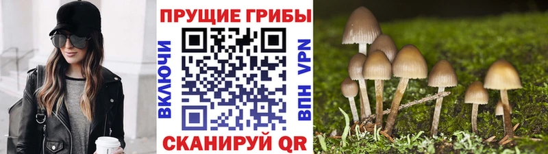 KRAKEN вход  нарко площадка наркотические препараты  Галлюциногенные грибы мицелий  Талица 